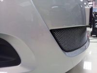 Защита радиатора Chery Bonus chrome (Фото 4)