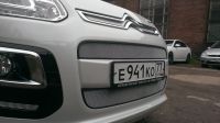 Защита радиатора Citroen C3 Picasso 2013- (2шт) chrome (Фото 2)