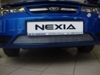 Защита радиатора Daewoo Nexia 2010- chrome (Фото 4)