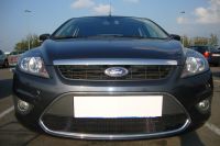 Защита радиатора Ford Focus II рестайлинг 2008-2012 black (Фото 1)