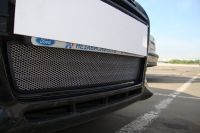 Защита радиатора Ford Focus III chrome (Фото 1)