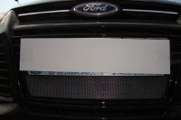 Защита радиатора Ford Focus III chrome (Фото 2)