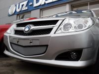 Защита радиатора Geely MK chrome (Фото 2)