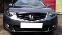 Защита радиатора Honda Accord VIII 2008-2011 black