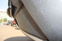 Защита радиатора Renault Duster chrome (Фото 2)
