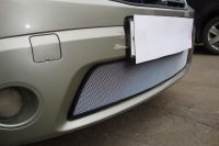 Защита радиатора Renault Sandero 2010-2013 chrome (Фото 1)