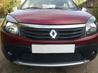 Защита радиатора Renault Sandero Stepway black (Фото 1)