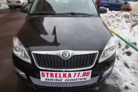 Защита радиатора Skoda Fabia 2 рестайлинг с 2011- chrome (Фото 1)