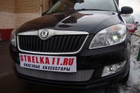 Защита радиатора Skoda Fabia 2 рестайлинг с 2011- chrome (Фото 3)