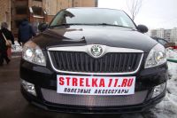 Защита радиатора Skoda Fabia 2 рестайлинг с 2011- chrome (Фото 4)