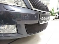 Защита радиатора Skoda Octavia А5 2009- black (Фото 1)