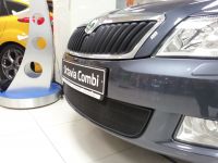Защита радиатора Skoda Octavia А5 2009- black (Фото 2)