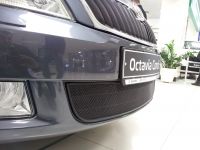 Защита радиатора Skoda Octavia А5 2009- black (Фото 3)