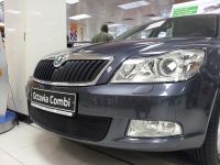 Защита радиатора Skoda Octavia А5 2009- black (Фото 4)