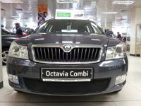 Защита радиатора Skoda Octavia А5 2009- black (Фото 5)