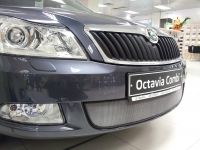 Защита радиатора Skoda Octavia А5 2009- chrome (Фото 1)