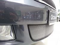Защита радиатора Skoda Octavia А5 2009- chrome (Фото 2)
