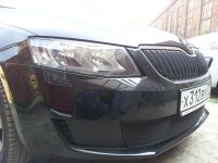 Защита радиатора Skoda Octavia А7 2013- Active 2013- black (Фото 1)