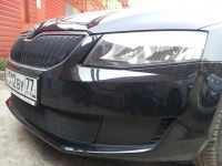 Защита радиатора Skoda Octavia А7 2013- Active 2013- black (Фото 2)