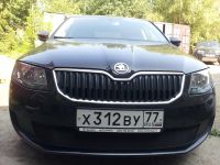 Защита радиатора Skoda Octavia А7 2013- Active 2013- black