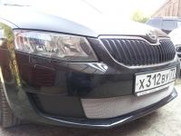Защита радиатора Skoda Octavia А7 2013- Active 2013- chrome (Фото 1)