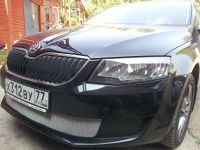 Защита радиатора Skoda Octavia А7 2013- Active 2013- chrome (Фото 2)