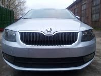 Защита радиатора Skoda Octavia А7 2013- Ambition-Elegance 2013- black (Фото 1)