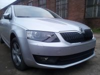 Защита радиатора Skoda Octavia А7 2013- Ambition-Elegance 2013- black (Фото 2)