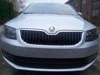 Защита радиатора Skoda Octavia А7 2013- Ambition-Elegance 2013- black (Фото 3)