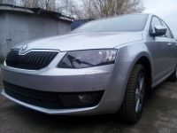 Защита радиатора Skoda Octavia А7 2013- Ambition-Elegance 2013- black