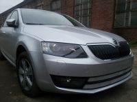 Защита радиатора Skoda Octavia А7 2013- Ambition-Elegance 2013- chrome (Фото 2)