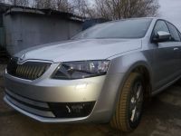 Защита радиатора Skoda Octavia А7 2013- Ambition-Elegance 2013- chrome