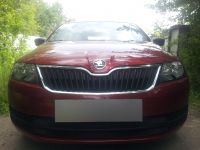 Защита радиатора Skoda Rapid 2013- black (Фото 1)
