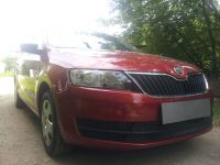 Защита радиатора Skoda Rapid 2013- black (Фото 2)