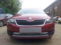 Защита радиатора Skoda Rapid 2013- chrome (Фото 1)