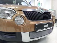 Защита радиатора Skoda Yeti 2009-2013 chrome (Фото 1)