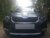 Защита радиатора Skoda Yeti City 2014- black (Фото 1)