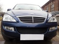 Защита радиатора Ssang Yong Kyron с 2006- black (Фото 1)