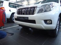 Защита радиатора Toyota LC Prado 150 2009-2014 black (Фото 1)