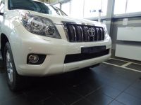 Защита радиатора Toyota LC Prado 150 2009-2014 black (Фото 3)