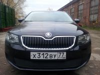 Защита радиатора Skoda Octavia А7 2013- Ambition-Elegance 2013- black PREMIUM (Фото 3)