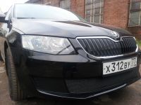Защита радиатора Skoda Octavia А7 2013- Ambition-Elegance 2013- black PREMIUM (Фото 4)