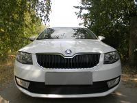 Защита радиатора Skoda Octavia А7 2013- Ambition-Elegance 2013- black PREMIUM
