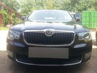 Защита радиатора Skoda Superb 2009-2013 black PREMIUM (Фото 1)