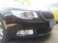 Защита радиатора Skoda Superb 2009-2013 black PREMIUM (Фото 2)