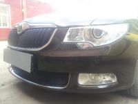 Защита радиатора Skoda Superb 2009-2013 black PREMIUM
