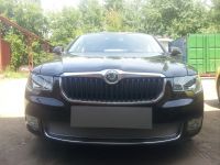 Защита радиатора Skoda Superb 2009-2013 chrome PREMIUM (Фото 1)