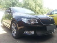 Защита радиатора Skoda Superb 2009-2013 chrome PREMIUM (Фото 2)