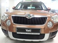 Защита радиатора Skoda Yeti 2009-2013 black (Фото 1)