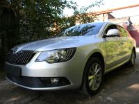Защита радиатора Skoda Superb 2014- black PREMIUM (Фото 1)